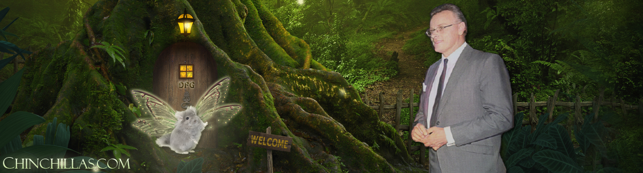 violet chinchilla frank gillingham loyd sullivan afro africa